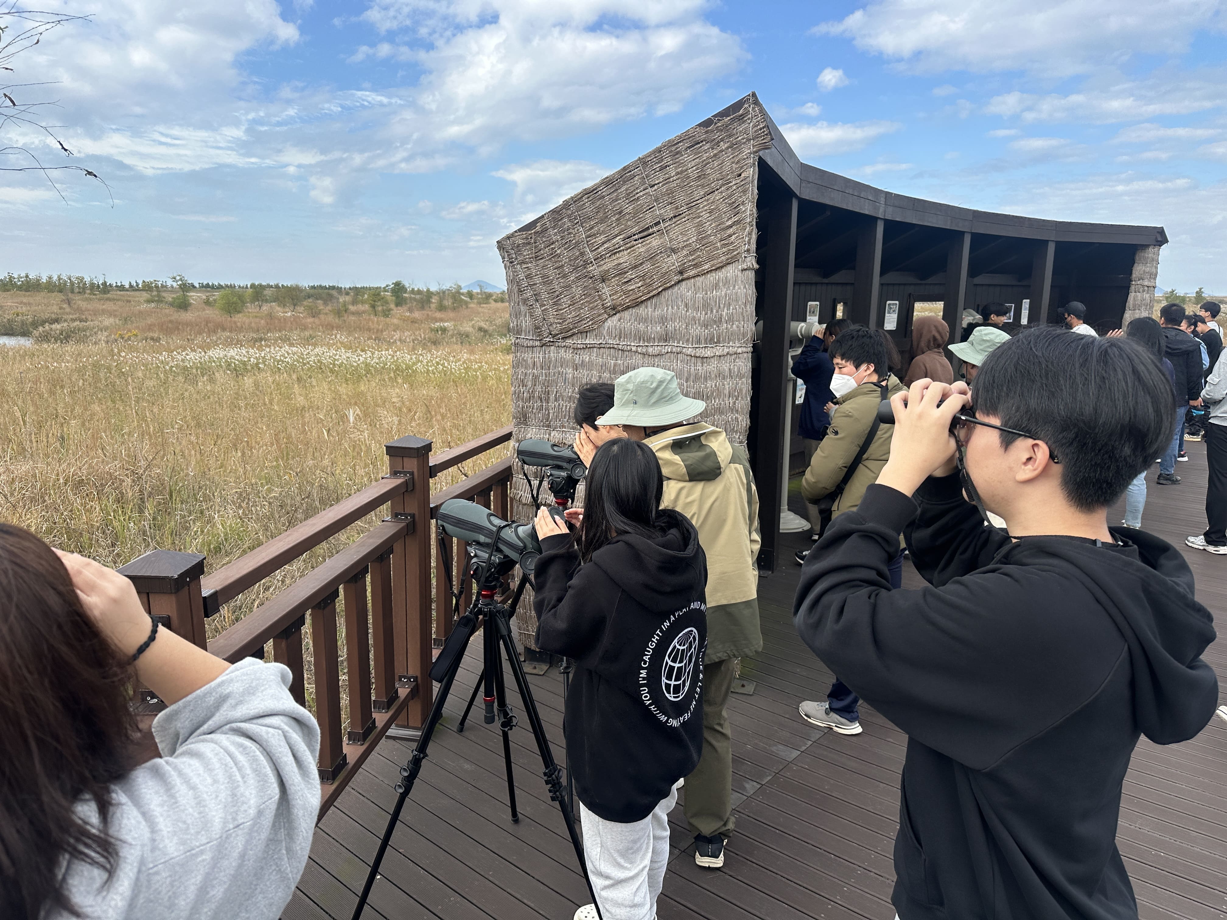 조류 여행 관련 이미지